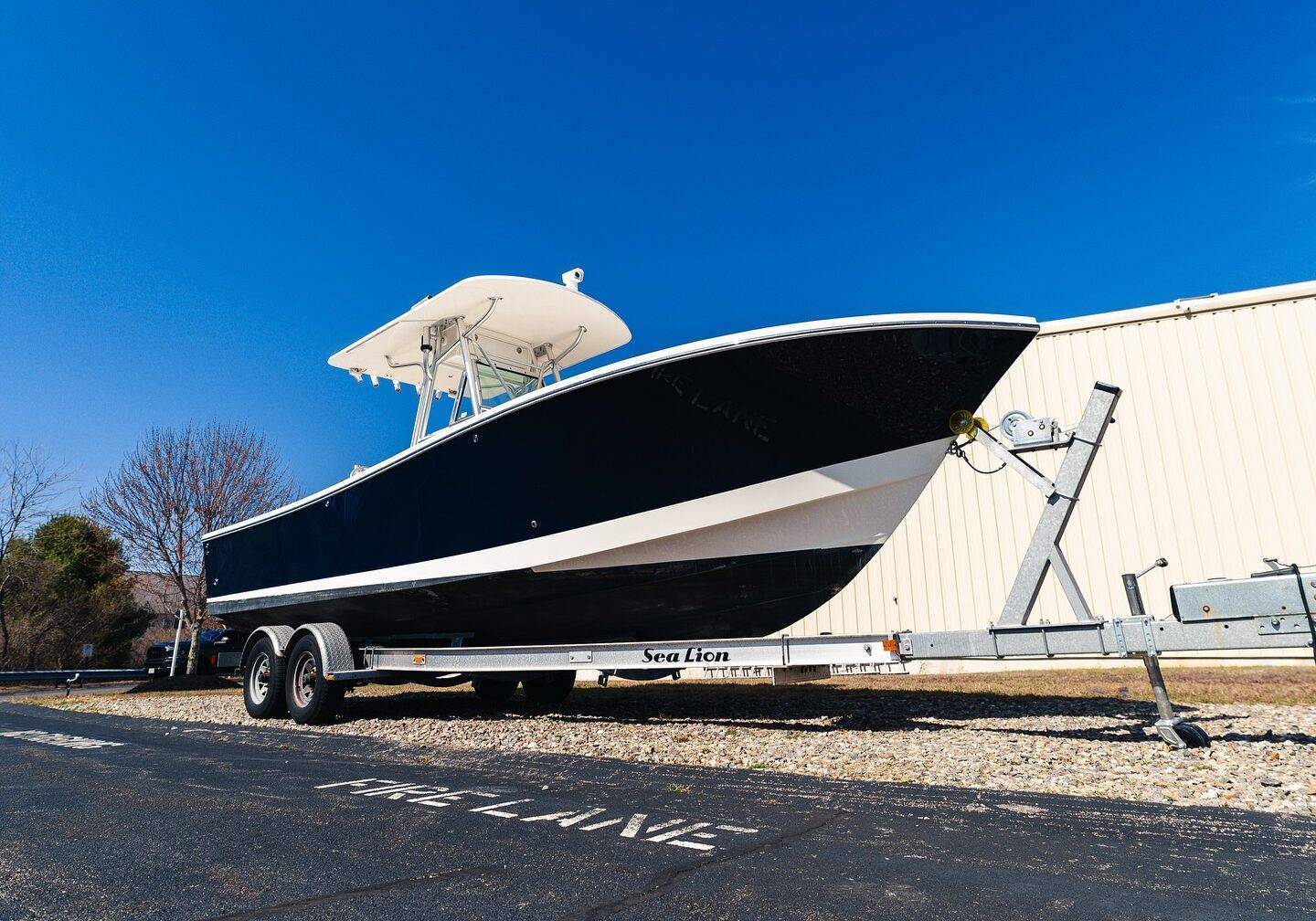 Custom Detailing and Paint Protection - Boston - Franklin, MA